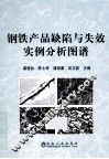 钢铁产品缺陷与失效实例分析图谱 封面