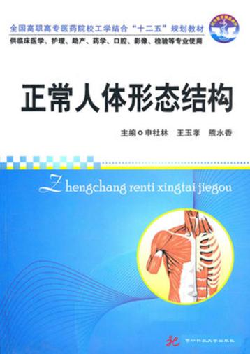 正常人体形态结构 封面