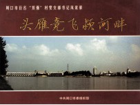 头雁竞飞颍河畔  周口市百名“双强”村党支部书记风采录 电子书封面