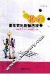 北京青年文化现象透视 封面