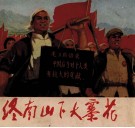 终南山下大寨花 封面