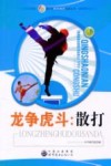 龙争虎斗：散打 封面