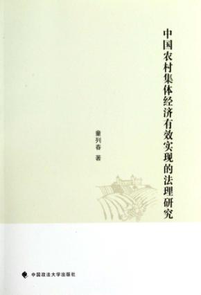 中国农村集体经济有效实现的法理研究 封面