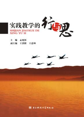 实践教学的行与思 封面