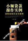 小额贷款操作实例  微型金融方法与案例 封面