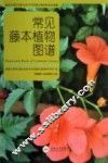 常见藤本植物图谱 封面