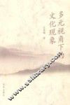 多元视角下的文化现象 封面