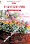 种花就是种心情  都市阳台花园全攻略 封面