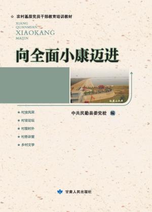 向全面小康迈进 封面
