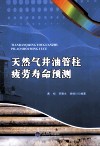 天然气井油管柱疲劳寿命预测 封面