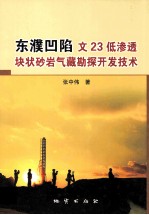 东濮凹陷文23低渗透块状砂岩气藏勘探开发技术 封面