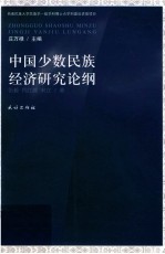 中国少数民族经济研究论纲 封面