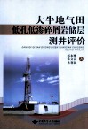 大牛地气田低孔低渗碎屑岩储层测井评价 封面