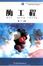 高等学校专业教材 酶工程 封面