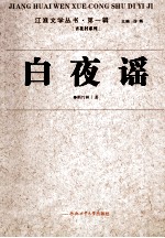江淮文学丛书  白夜谣 封面