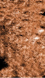 折肱漫录  卷1-2 封面