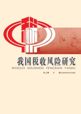 我国税收风险研究 封面
