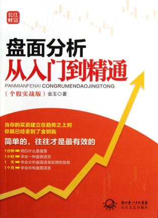 盘面分析从入门到精通  个股实战版 封面