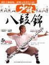 少林八段锦 封面