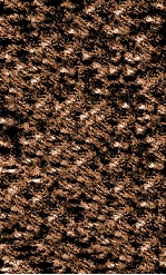 重鐫福幼遂生广生编 封面