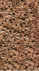 翁仲仁先生痘疹金镜录 卷上中 封面