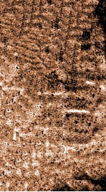 翁仲仁先生痘疹金镜录 卷下 封面