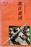 我在德国  一个女记者的旅德纪实 封面