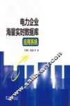 电力企业海量实时数据库应用系统 封面