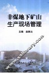 非煤地下矿山生产现场管理 封面