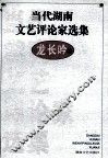 当代湖南文艺评论家选集  龙长吟卷 封面