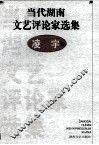 当代湖南文艺评论家选集  凌宇卷 封面