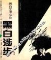 黑白艺术系列  黑白涉步  图集 封面