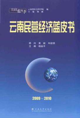 2009-2010云南民营经济蓝皮书 封面