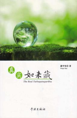 真实如来藏 封面