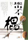 埃山子午棍 封面