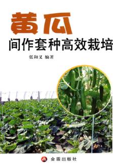 黄瓜间作套种高效栽培 封面
