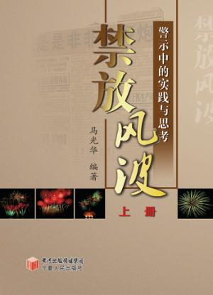禁放风波  警示中的实践与思考  上 封面