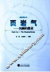 页岩气  沉睡的能量 封面