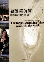 微醺莱茵河  德国起泡酒乡之旅 封面