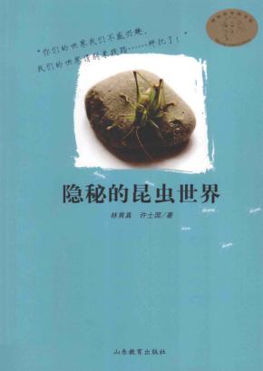 隐秘的昆虫世界 封面
