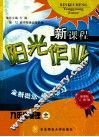 新课程阳光作业新课标人教版  物理九年级（全） 封面