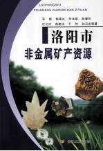 洛阳市非金属矿产资源 封面