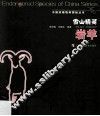雪山精灵  岩羊 封面