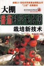 大棚番茄科学无分害栽培技术 封面