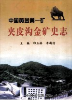 夹皮沟金矿史志 封面