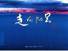 走向阿里 封面