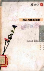 透过水蛾的翅膀 电子书封面