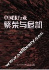 中国银行业  繁荣与危机 封面