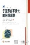 子流形曲率模长的间隙现象 封面