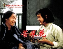 苦菜花 封面